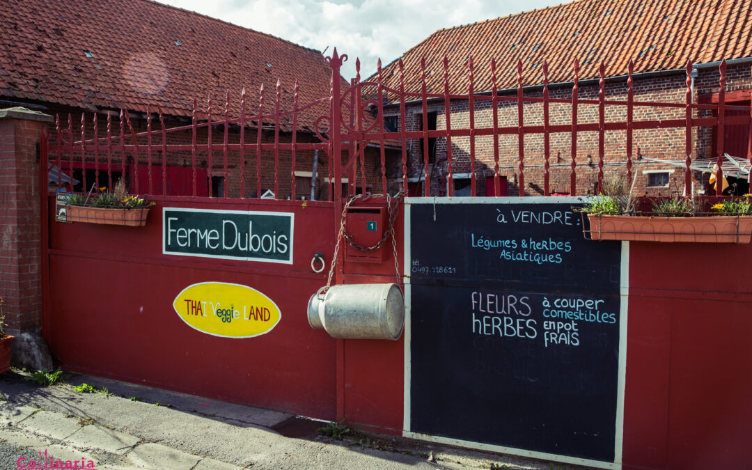 Ferme Dubois – Thai Veggie Land