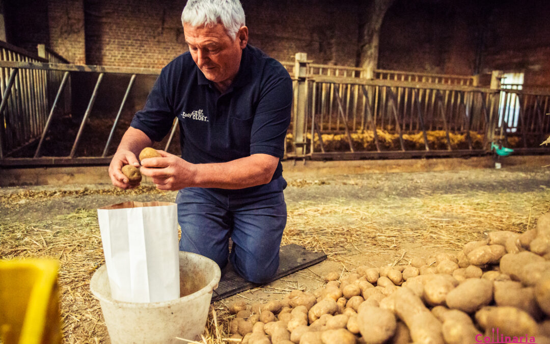 Ferme de Mianvaing