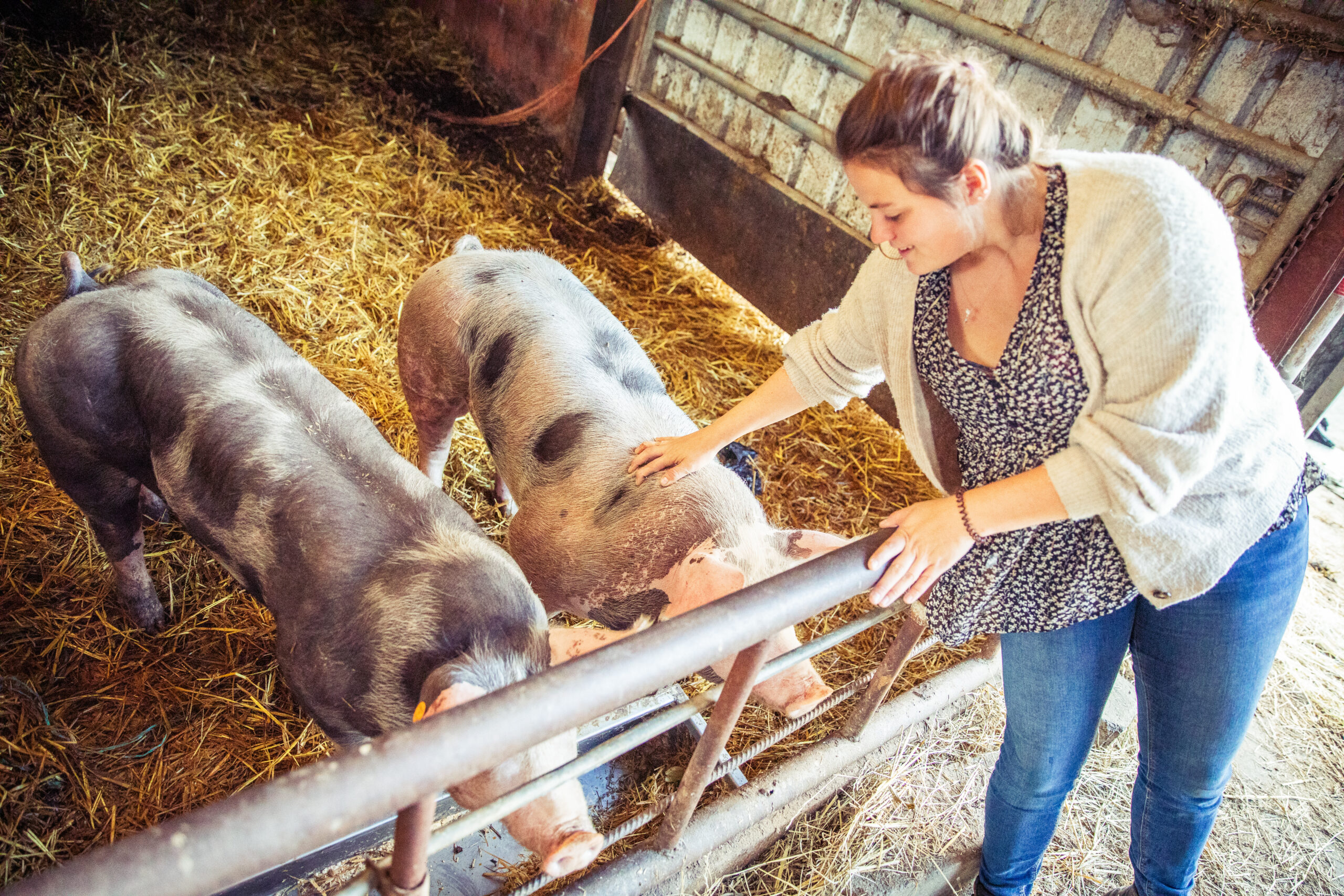 La Ferme des Joyeux Drilles