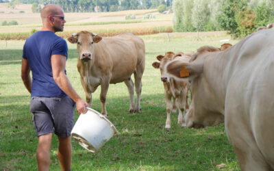 La Ferme Vandemergel