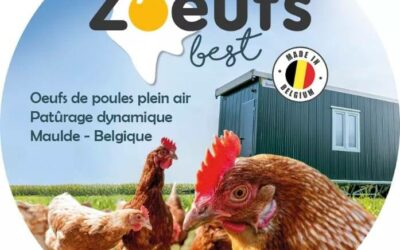 Zoeufs Best