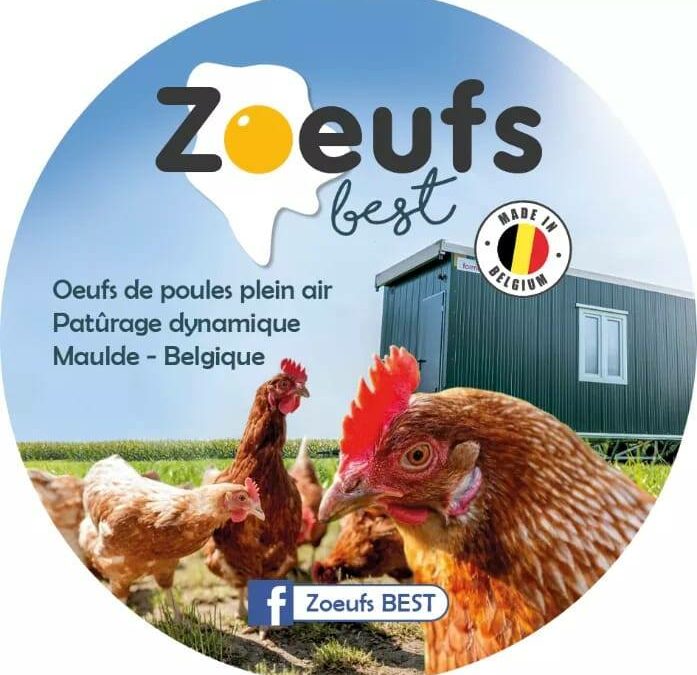 Zoeufs Best